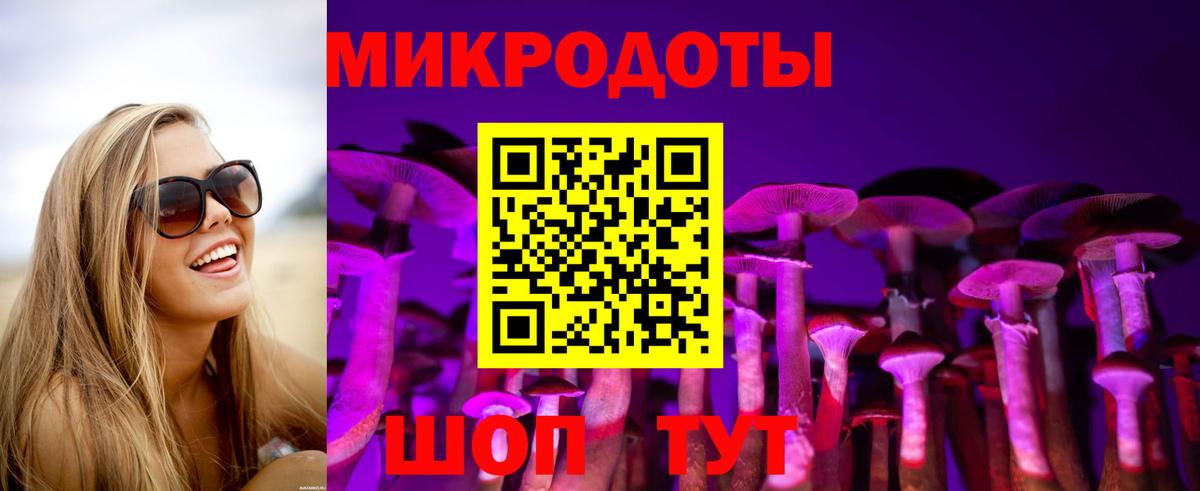 Псилоцибиновые грибы Cubensis Боровичи